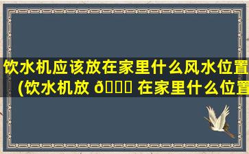 饮水机应该放在家里什么风水位置(饮水机放 🐟 在家里什么位置比较好 🐠 风水)